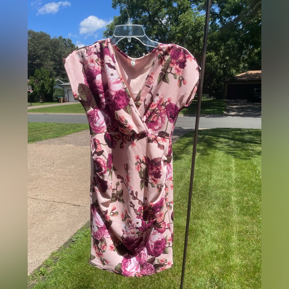 Pink Blush Maternity Dress